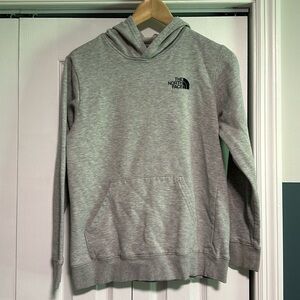 The north face hoodie